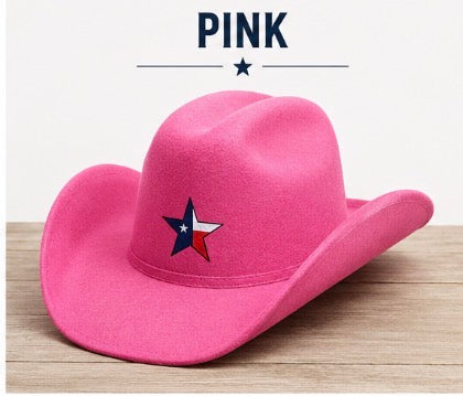Cowboy Hat for pets Dog , Cat , Birds