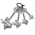 Texas Measuring spoons - 4PC Set