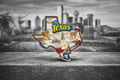 Collector edition  State Texas jumbo Lapel Pin