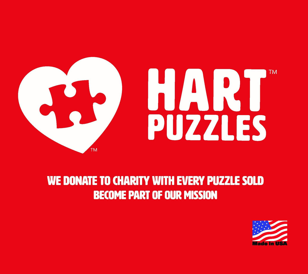 Lone Star State Puzzle by Kate Ward Thacker