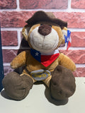 Brown Texas howdy bear