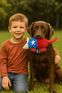 Armadillo, Lonestar Squeaker Dog Toy