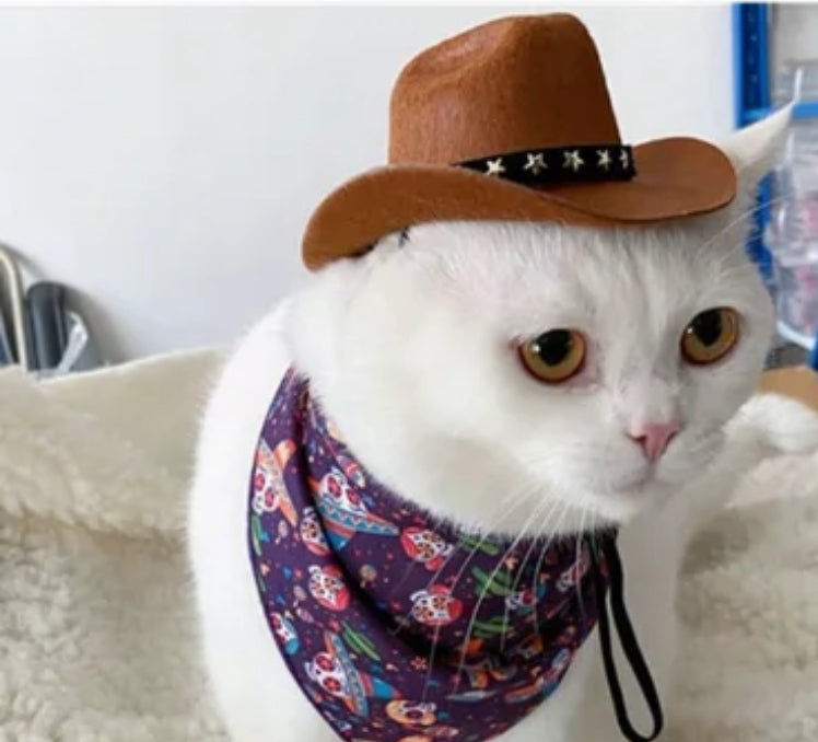 Cowboy Hat for pets Dog Cat