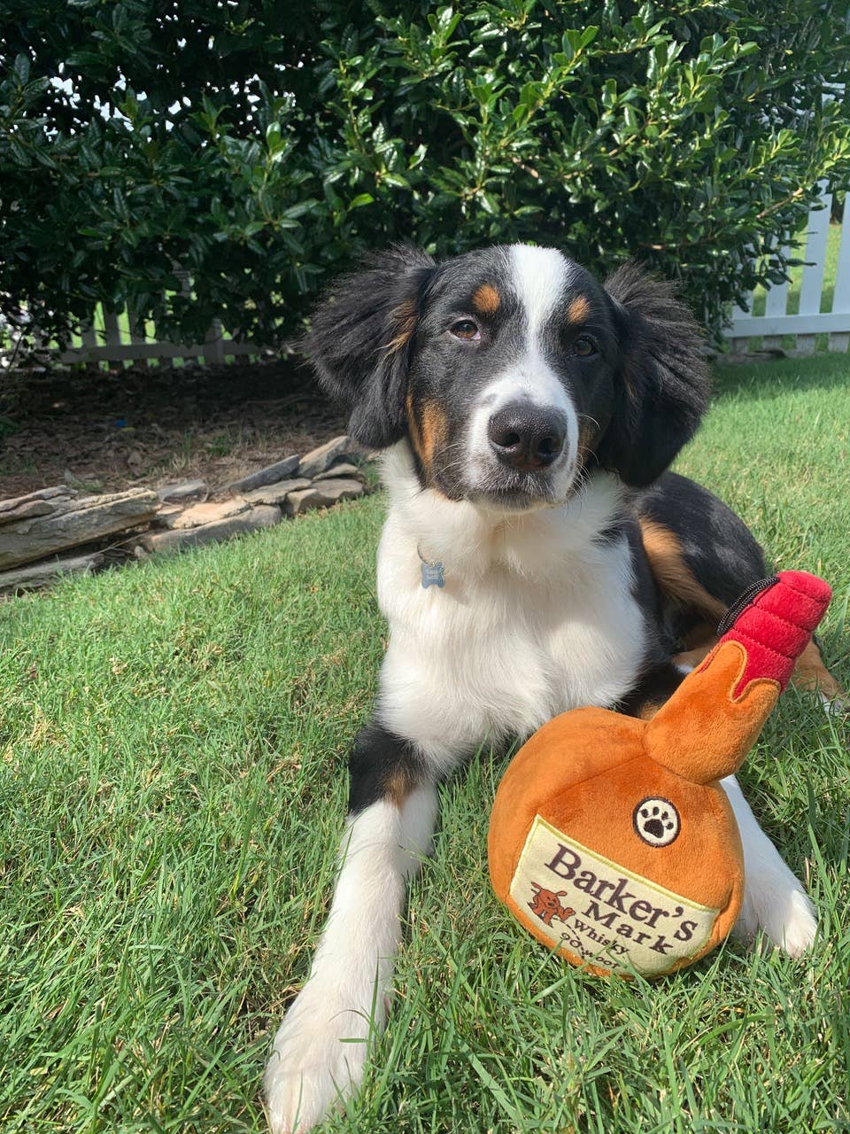 Barkers Mark Dog Toy