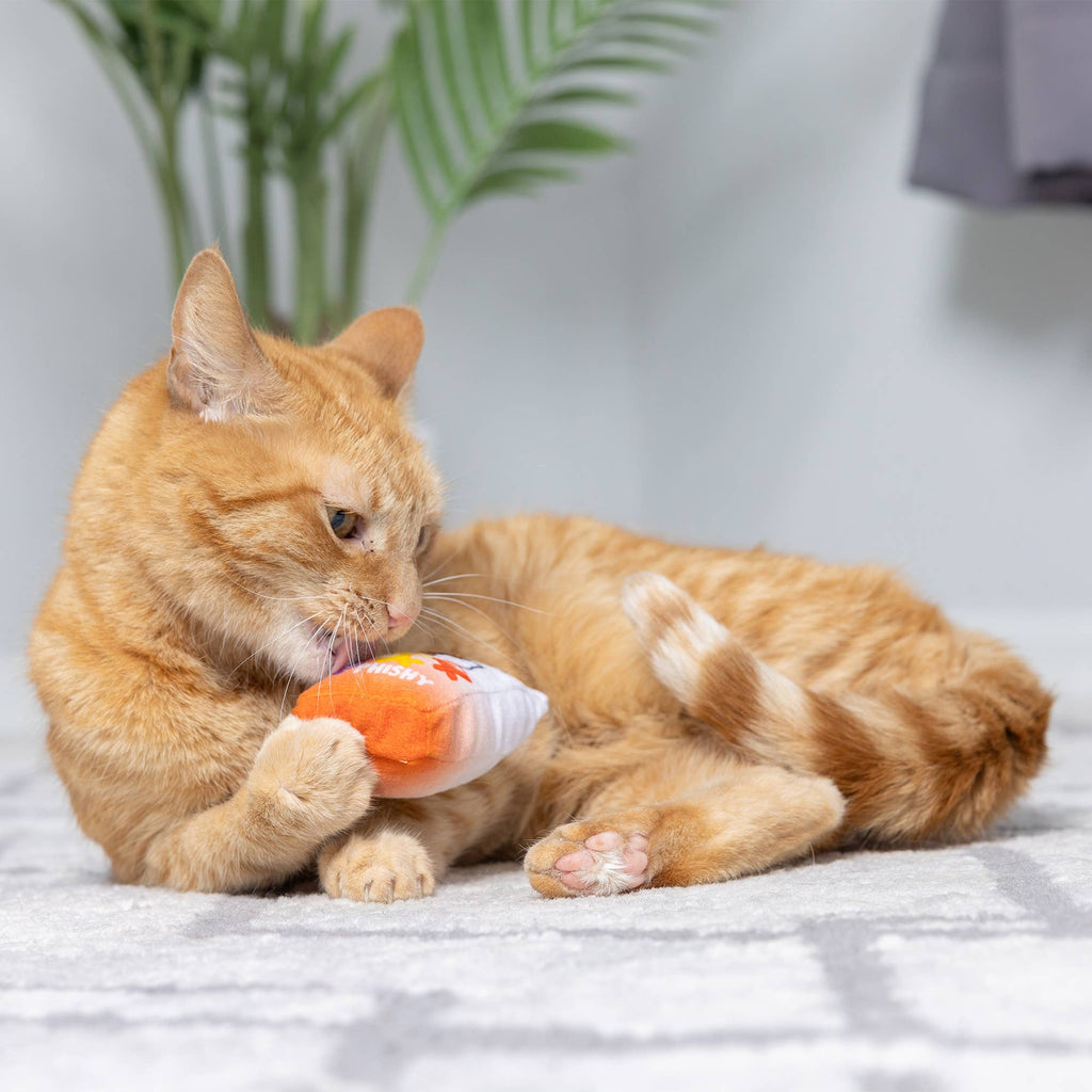 Go Fish Phishy Cat Toy
