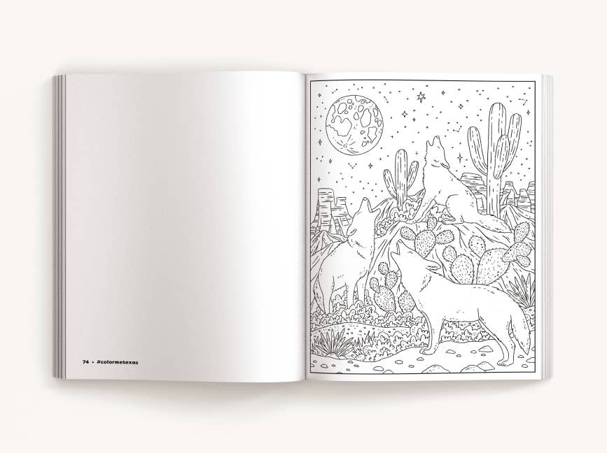 Color Me Texas: A Lone Star State Coloring Book